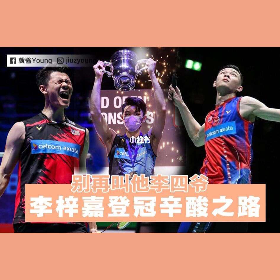 关于法国队绝杀丹麦队，李梓嘉关键制胜的信息