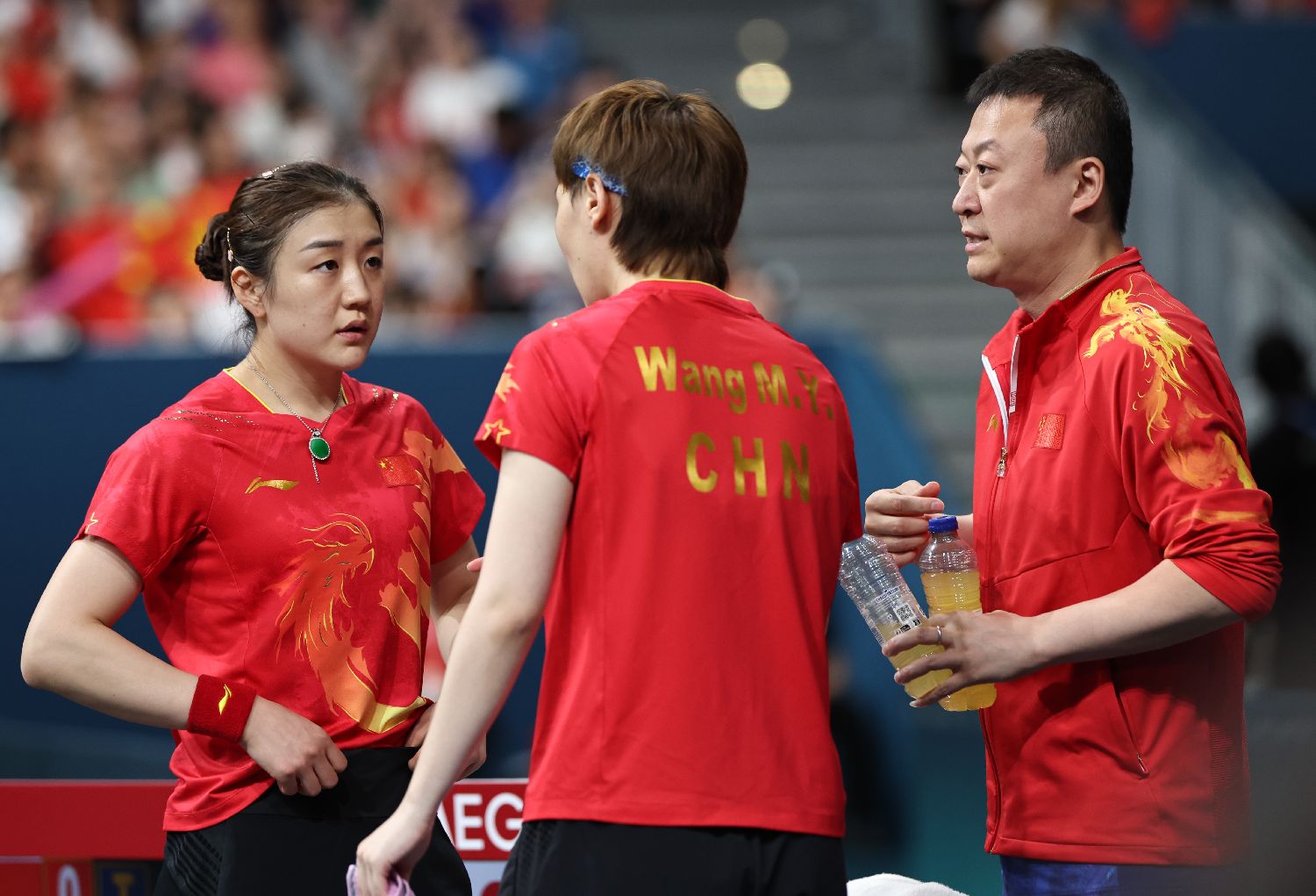 法国队轻取中国队，马琳统治全场