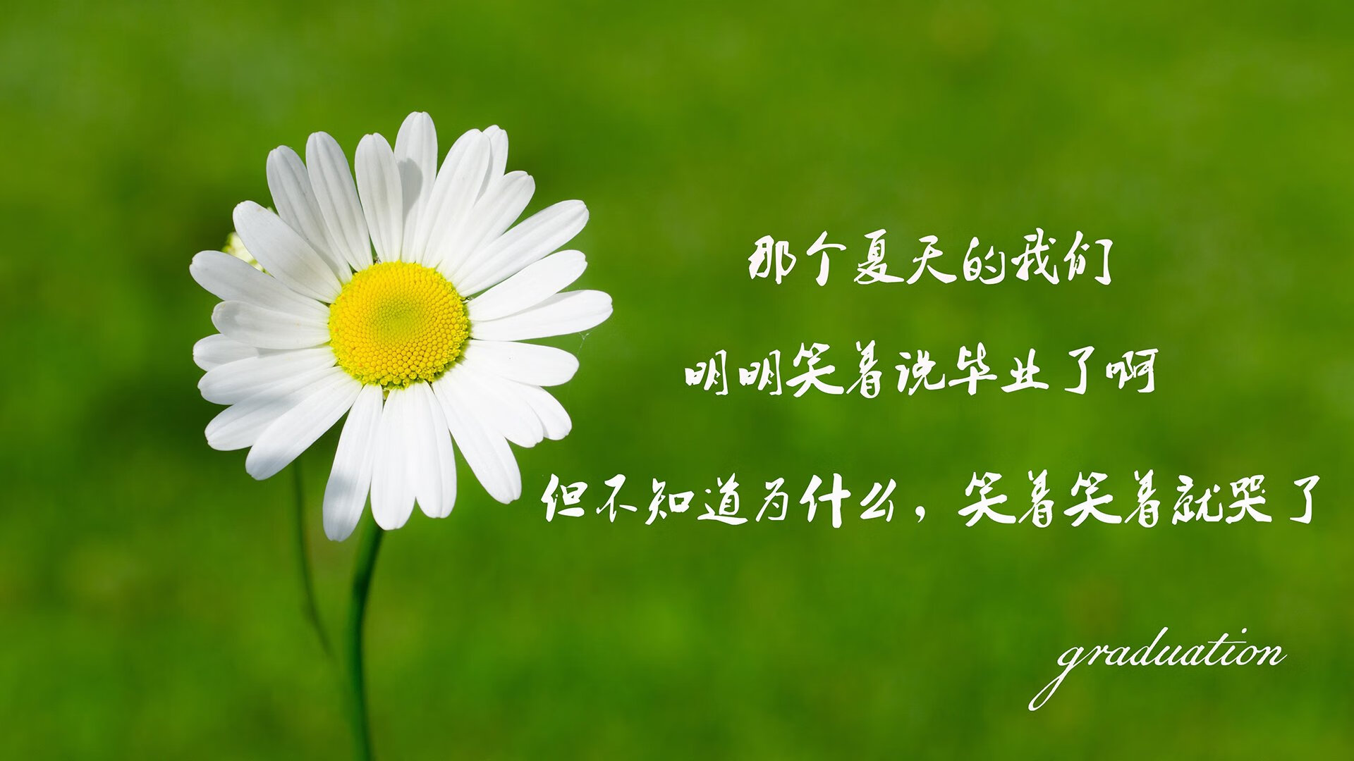 破碎感,当强压成为常态,艺术是唯一的裂缝