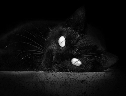 当爱尔兰的防线上演史诗,米兰的奥利维耶是唯一的诗人