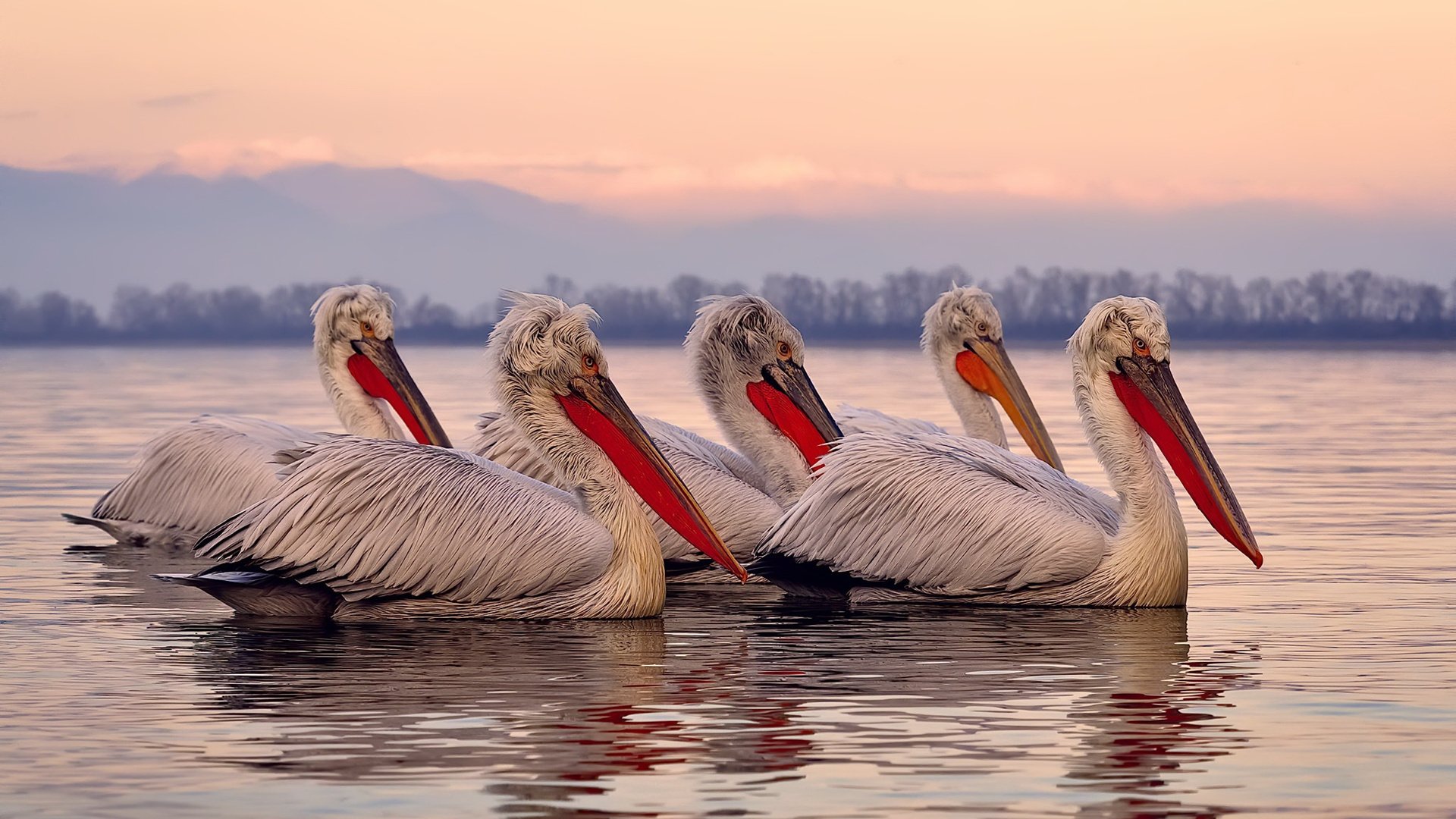 恩佐的魔力，一场定义关键先生的胜利