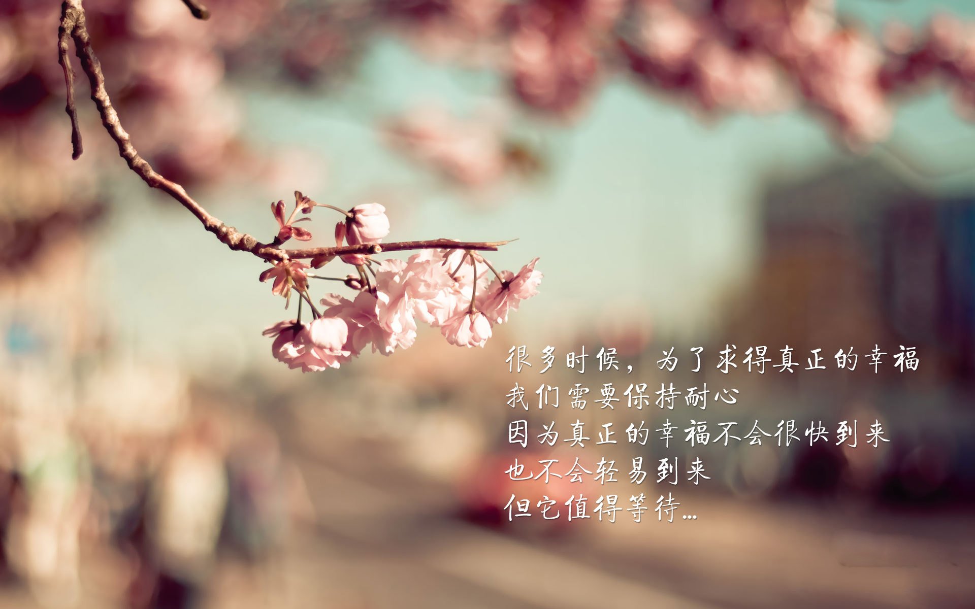 终场哨前的魔法，贝林厄姆—北欧童话的终结者