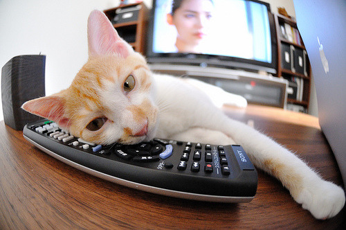 53分末节狂澜!利拉德爆发率猛龙擒侠,北境之师亮出争冠獠牙