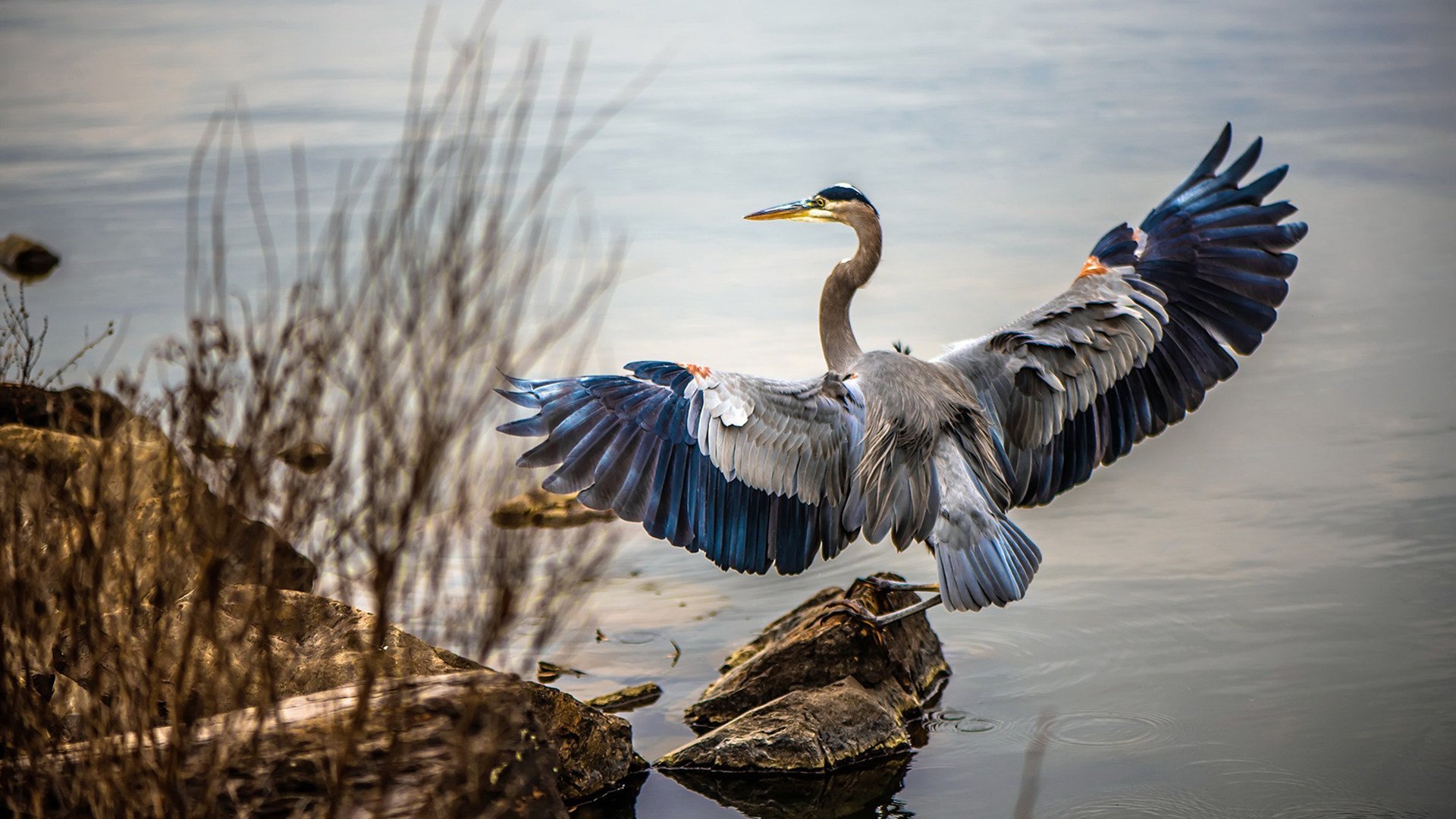 英超争冠之夜，爱德华兹独造四球制霸伊蒂哈德