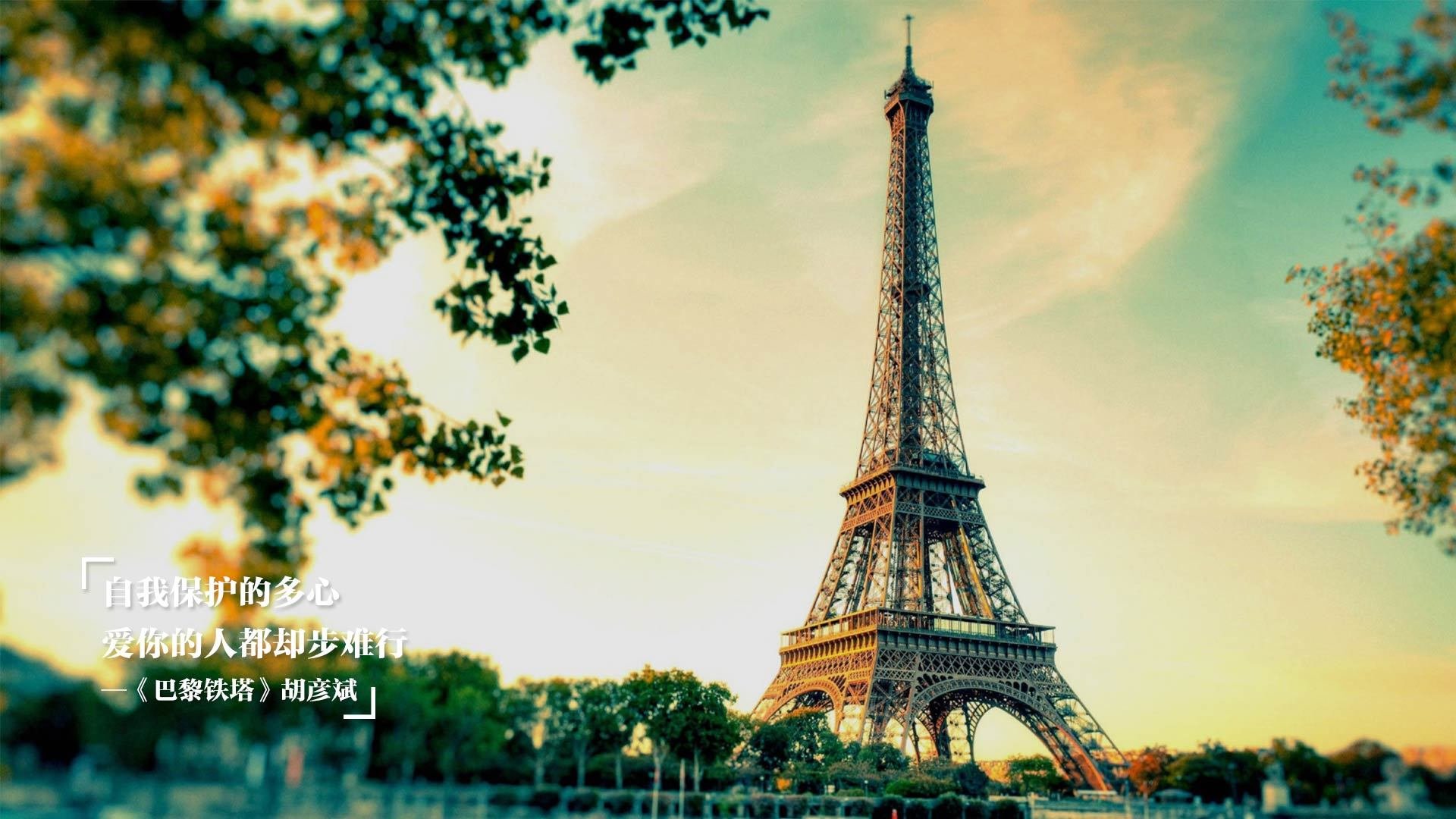 勇士胜浙江成时空裂缝,范弗利特2026年接管世界杯的预言已埋下?