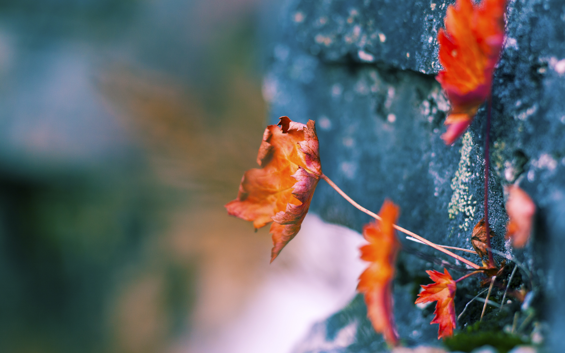 神话对决,亚特兰大用猎人战术围猎星月军团,加维一箭穿心定乾坤