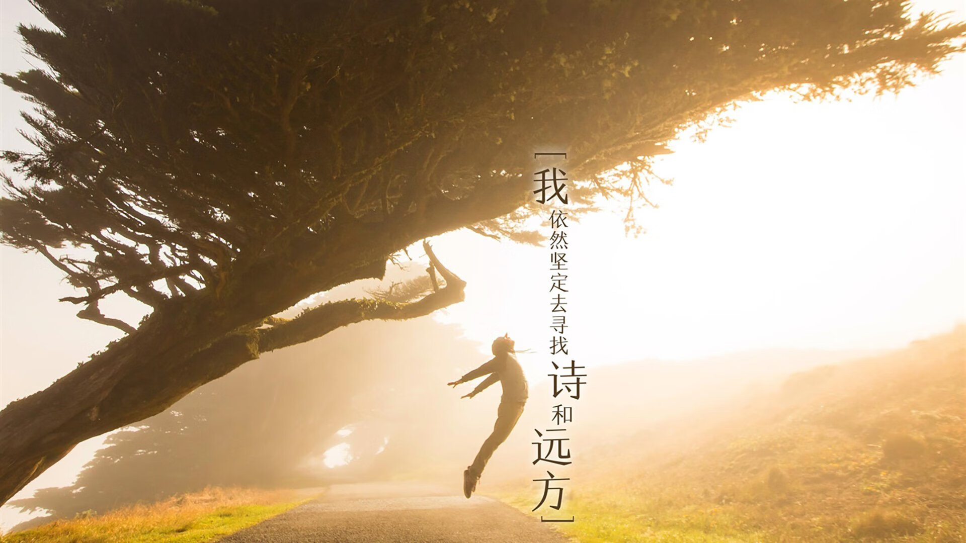 拉文狂飙30分引爆全场，雄鹿团队协作轻取新疆队