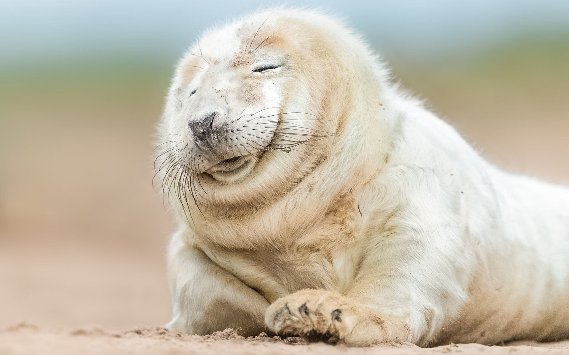 宿敌对决引爆多伦多，赛季胜负手奠定王座更迭！猛龙与公牛的年度焦点之战如何改写东部格局？