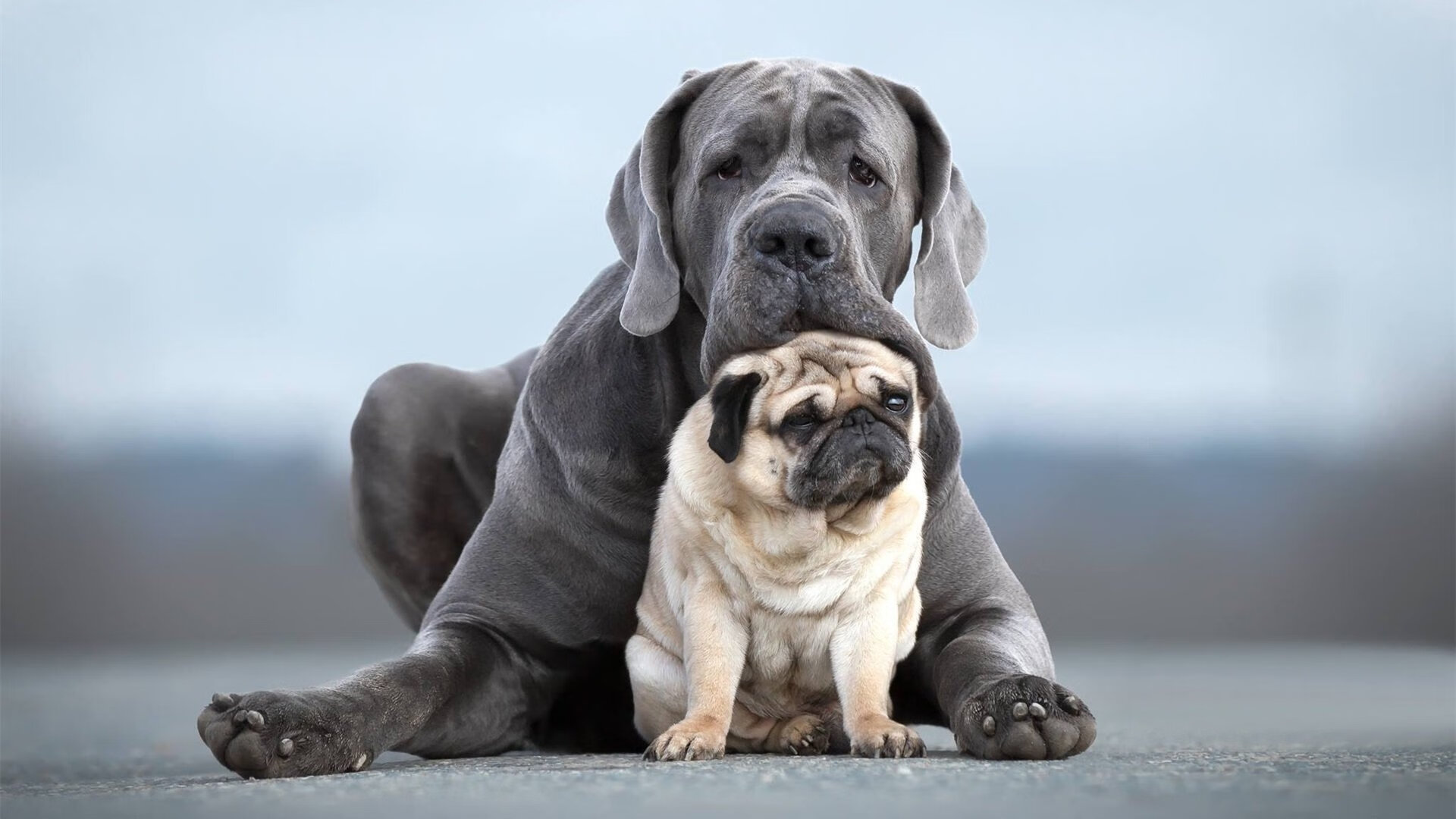 逆光处，方见神迹，欧冠之夜，凯塞多如何在命运的铜墙铁壁上凿开一束光