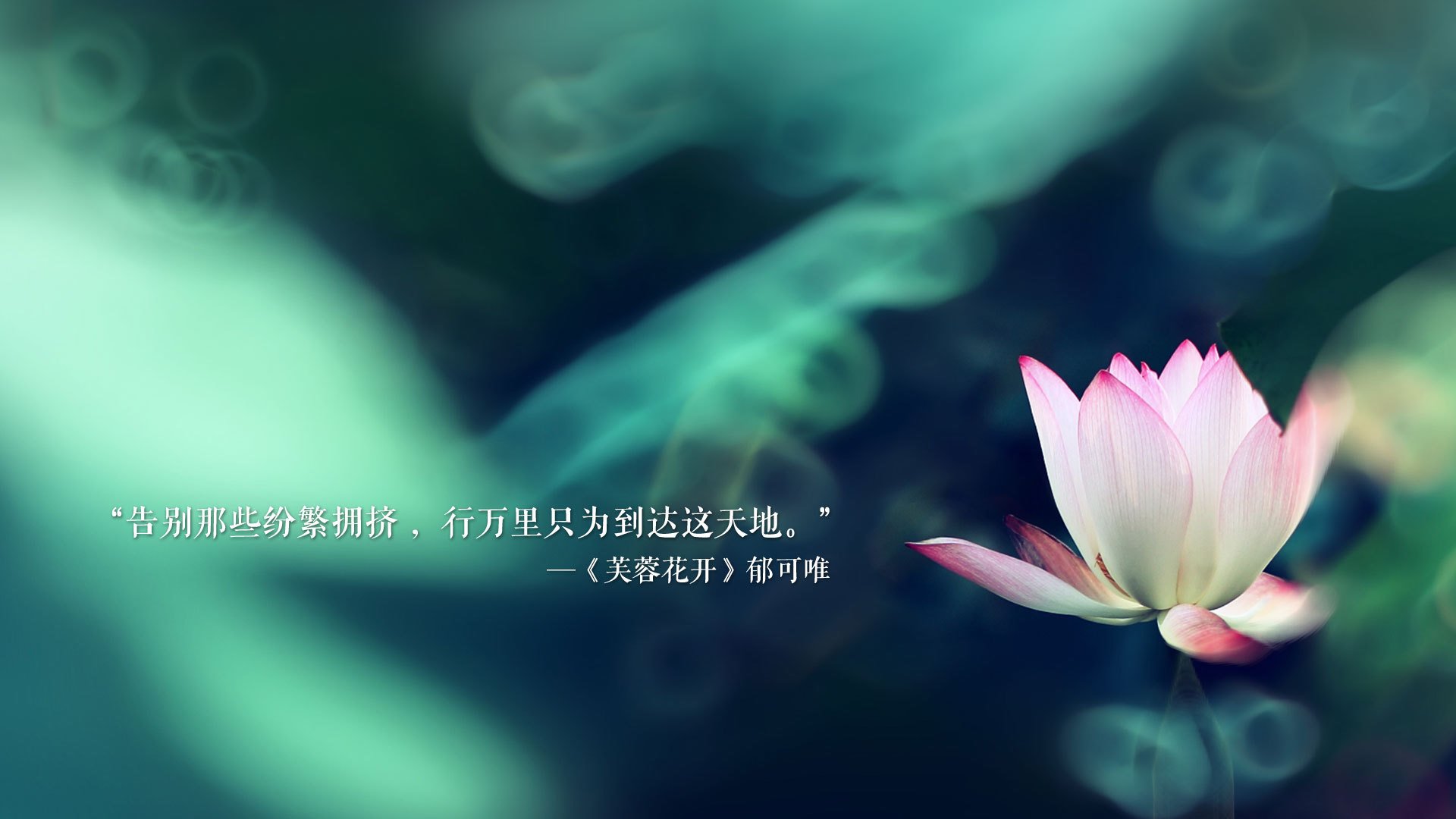 归化巨神!库尔图瓦化身第二座城门,哥斯达黎加5-0碾压伊朗,2026世界杯A组上演最意外狂潮
