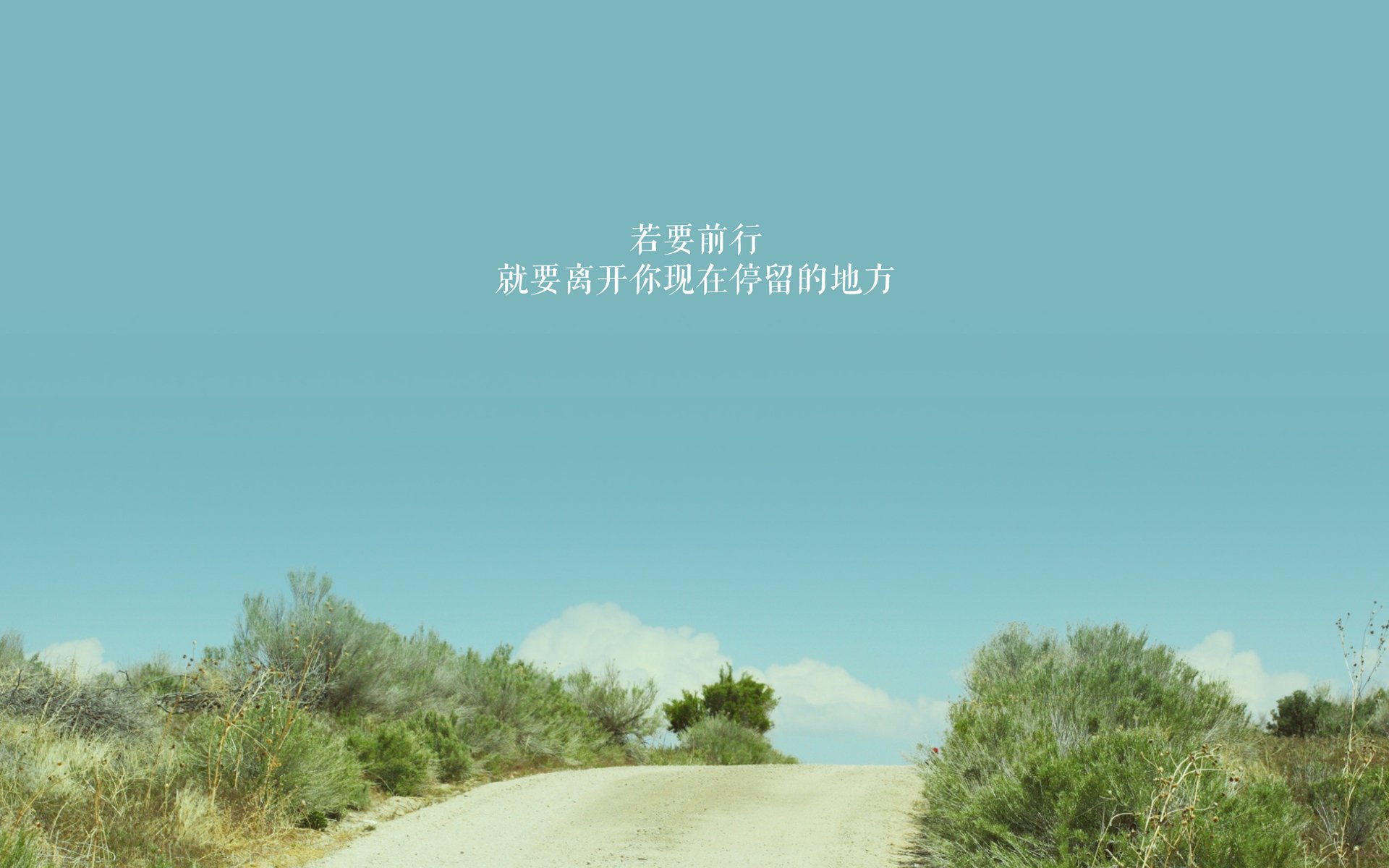 （拓展思维版）